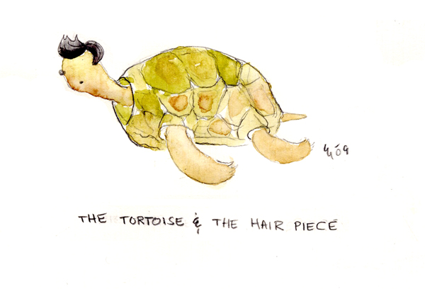 I found this image after googling “tortoise hair” and I loved the simplicity 